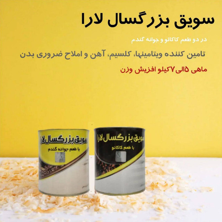 سویق چاقی بزرگسال